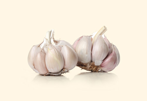 Garlic Allicin herb on cream background