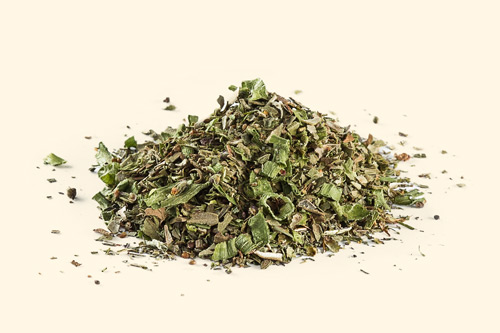 Oregano herb on cream background